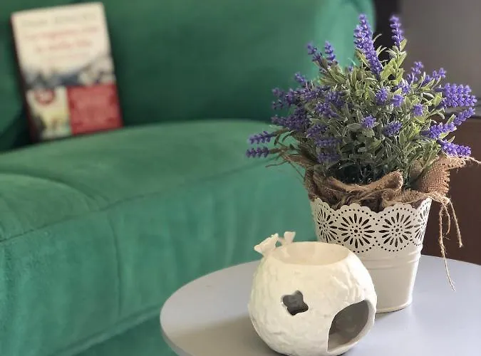 بيت للعطل Alma House